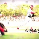 자세히 보아야 예쁘다 이미지