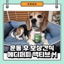 주식회사 메디파트 이미지