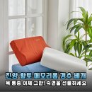 황토잠 | 매일 밤 목덜미가 뻐근해 잠 못 이루던 날들, 진양 황토 메모리폼 경추 베개로 찾은 숙면의 질