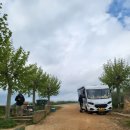 28140-3-6-14 | 산티아고 프랑스길 14일차 후기 | 온타나스-보아디야 델 까미노 | 거리·난이도·꿀팁