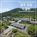 내창천 | 국립청주박물관 건축물 실감나는 4D영화관 역사체험 입장료