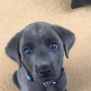 BAOBEI(바오베이) 이미지