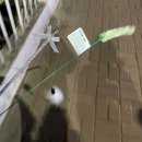 씽씽 리프레쉬 이미지