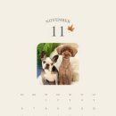 백설애견 이미지