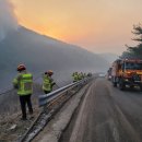 의성(청주) 이미지