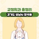 연세케이(K)플란트치과의원 | 경기도 성남시 창곡동 교정치과 총정리