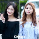 T라인 이미지