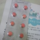 중앙가축병원 이미지