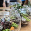 화순군공무직노동조합 이미지