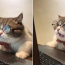 해뜸안과의원 이미지