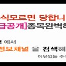 [아이에스이커머스 - 증권정보채널] 아이에스이커머스(069920) 종목분석 및 향후 투자 대응전략 이미지