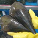 바다클라쓰 이미지