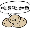 동화속 빵 과자점