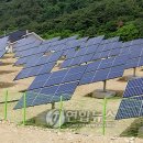 조양 태양광발전소 이미지