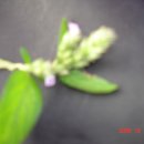 동트는어린이집 이미지