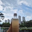 유명집 | 광교맛집 &amp; 광교호수공원 콩국수 <면미정> 서울 유명집보다 만족한 내돈내산 리뷰