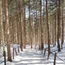 당골목장 이미지