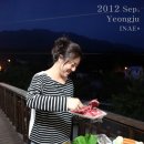 부석사 아래 단풍길 펜션 이미지