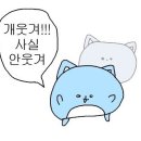 거북이포차