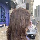 리쁘담 이미지