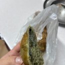 쑥떡쑥떡 이미지