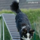 굿모닝헬스타운 네이버블로그