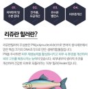 연세라미슈의원 이미지