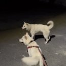 솔로몬 펜션 이미지