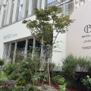오뉴네일&속눈썹 강남역본점 | 강남속눈썹펌 반디인하우스 펌포인트연장후기