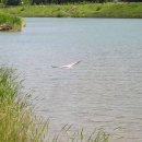 다운목장 이미지