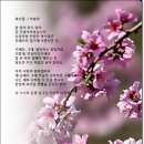 복사꽃 이미지