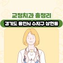 에스비타운-엘리치안오피스텔 | 경기도 용인시 수지구 상현동 교정치과 총정리