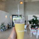 데이지브런치 이미지