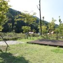 케빈오토 이미지