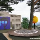 나무해담 이미지