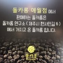 돌카롱연구소
