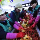 파로호느릅마을 이미지