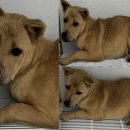 덕지천로 이미지