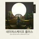 네이쳐캠프70s 3 | 동탄 아이와 가볼 만한 곳｜네이처스케이프 플러스 7세 아이와 재방문 후기