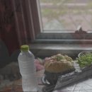 대전 숨은 맛집 낙지볶음 맛집 가성비 메뉴 추천