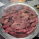 우주생고기 이미지