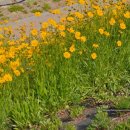 호암직동주민자치센터 이미지