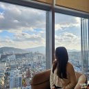 (주)조선호텔앤리조트스테이트타워남산GYM | 조선팰리스 서울 강남 마스터룸 내돈내산 객실 후기 서울 5성급 호텔 추천