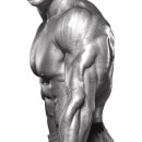 프레스짐(Press GYM) 이미지