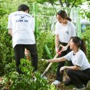 서울당산초등학교 이미지