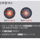 당화혈색소(HbAlc)란? 이미지