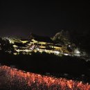 장튼튼홍내과의원 | 밀양국가유산야행 영남루 축제 즐기고 온 솔직 후기! ( 장 단점 팩트 체크 )