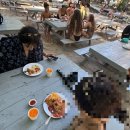 섬 | 🇹🇭태국 푸켓 시밀란섬 투어 후기🤿🌊 +예약 방법, 필수 준비물