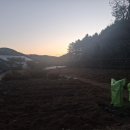 들꽃피는 아침풍경 이미지