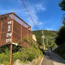 비올레띠 이미지